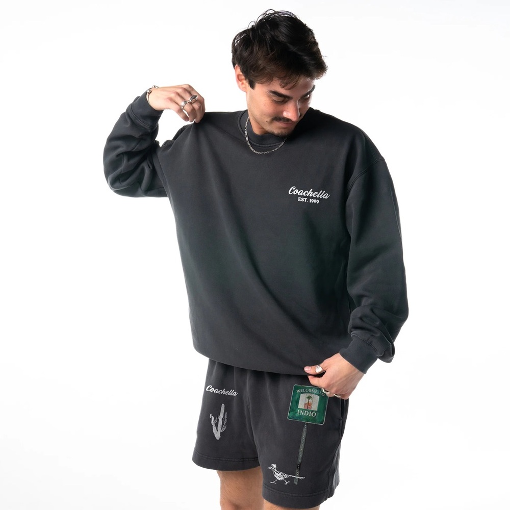 COACHELLA 2025 Desert Roadtrip Sweatshirt - Picture 4 of 11